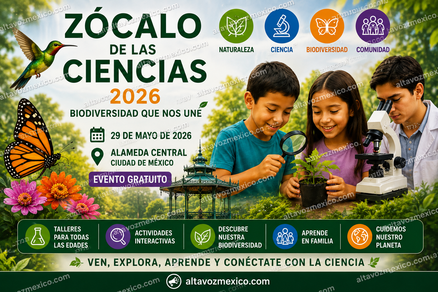 Actividad gratuita Zócalo